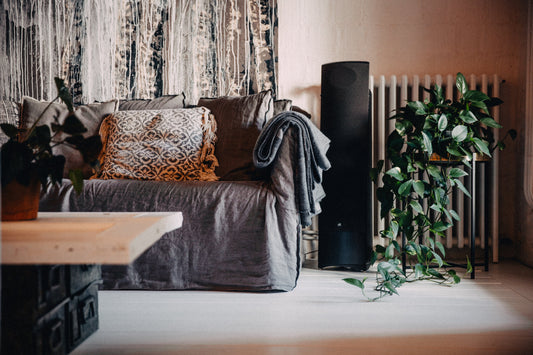 Image of grey couch with plant on plant stand beside it. Coffee table sits in front.